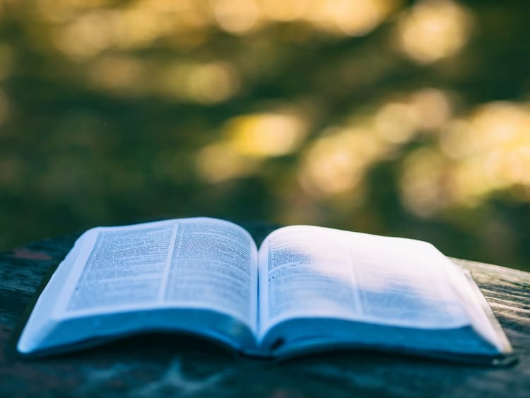 Daily Devotion: Strength in Weakness