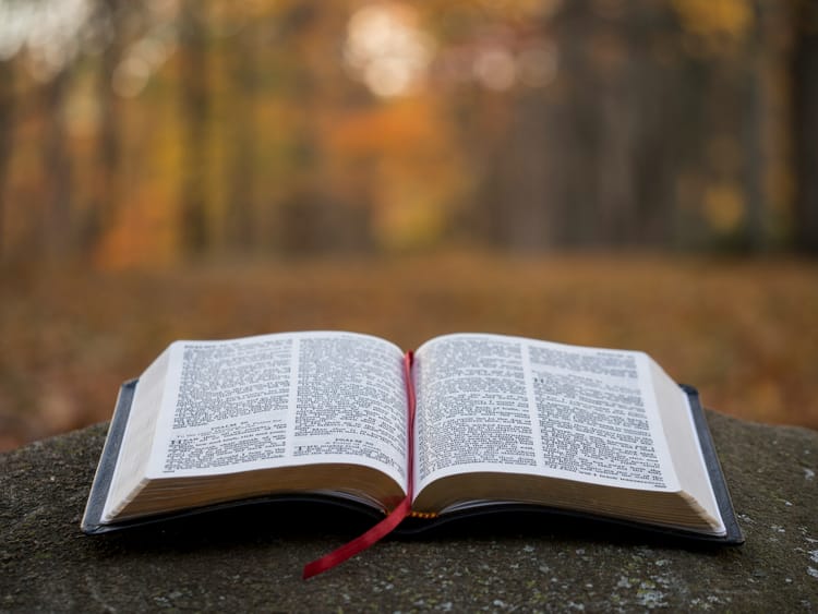 Daily Devotion: The Strong Tower