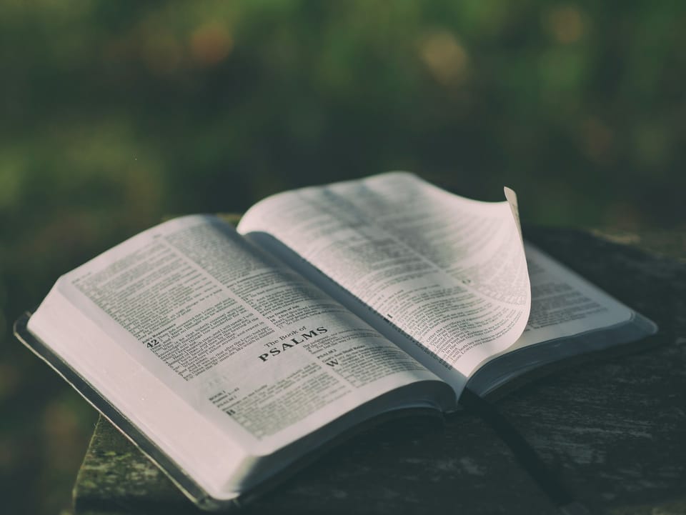 Daily Devotion: Transformed, Not Conformed