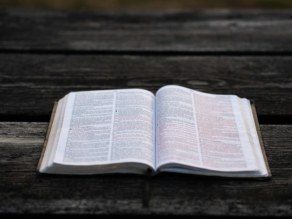 Daily Devotion: Lifting Each Other Up